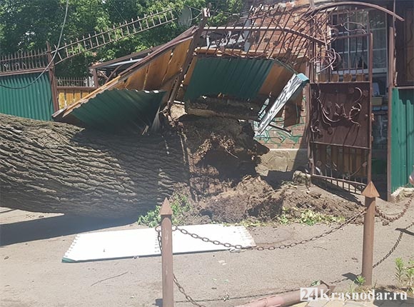 Дуб упал на постройки