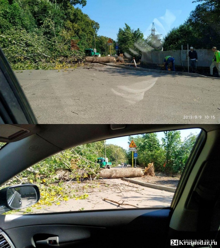 Дерево заблокировало дорогу в Лорисе