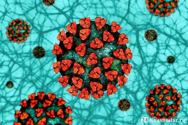 На Кубани и в Адыгее выявили мутации коронавируса