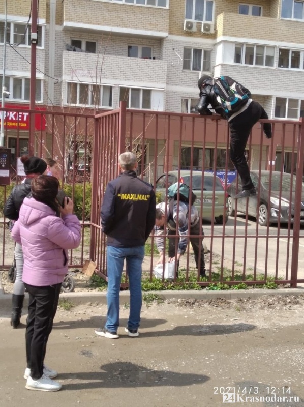 Заборная карма