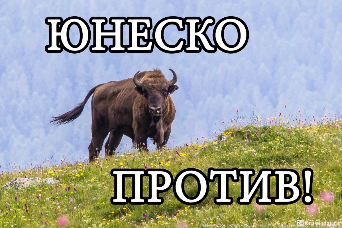 ЮНЕСКО против курорта "Лаго-Наки"
