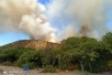 Горит заповедник Большой Утриш