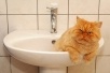 Отключение воды в СМР