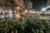 О погоде в начале декабря