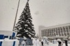 Последний шанс увидеть главную елку города
