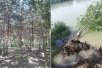 Так сейчас выглядит Рождественский парк в ЮМР