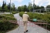 Новые антикоронавирусные ограничения в регионах