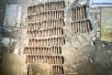 Около 170 снарядов уничтожили взрывотехники Росгвардии в Краснодарском крае