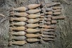 В Крымском районе взрывотехники Росгвардии уничтожили около 60 боеприпасов времен Великой Отечественной войны