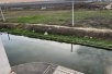 Канализация под окнами и в подвале: жильцы Армавира живут с проблемой уже годами