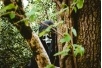 Запретить фильмы ужасов ради повышения рождаемости предложили в России