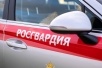 В Лабинске сотрудники Росгвардии задержали находящегося в розыске мужчину 