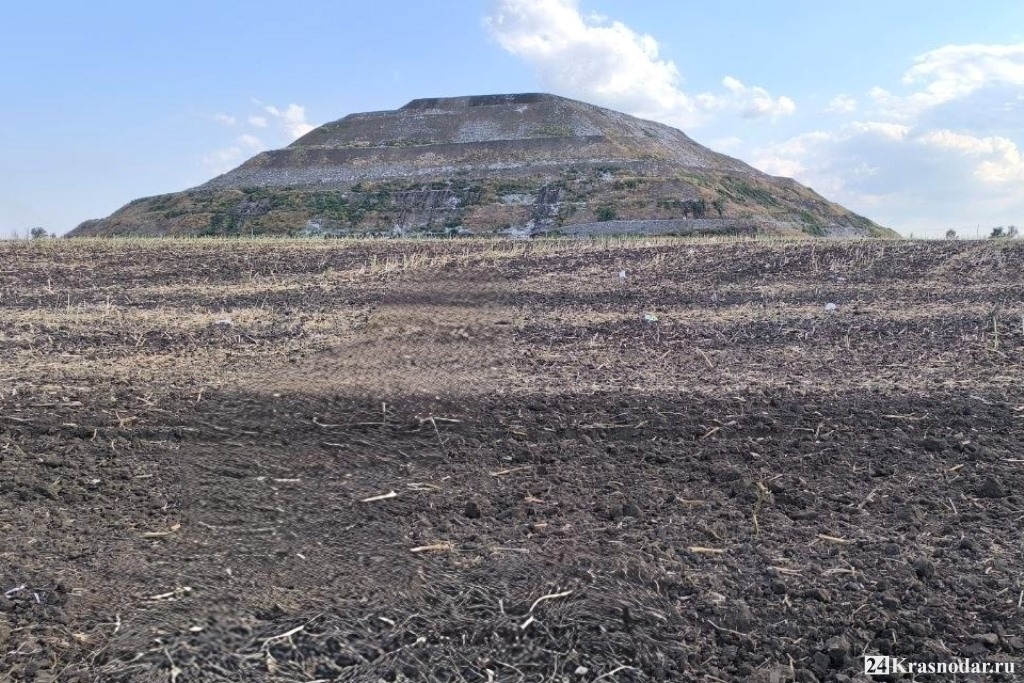 Построят саркофаг под компостное производство