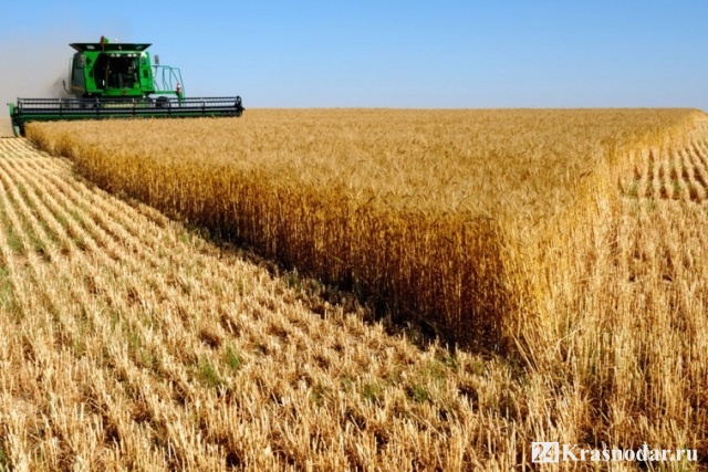 Уборка урожая на Кубани