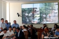 Закатали в асфальт дерево и вели работы в ливень