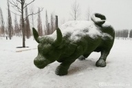 Краснодар в снегу
