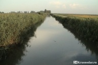 В Краснодаре утонул ребенок