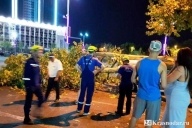 Дерево упало на автомобиль