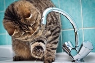 Отключение воды