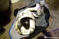 Разбил камеру видеонаблюдения