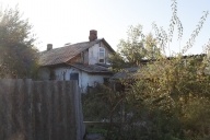 Приют для бездомных животных