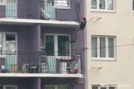 Живодер в Знаменском