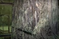 Канализационная история