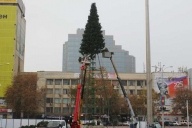 Главная елка в Краснодаре
