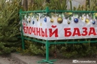 Елочные базары в Краснодаре