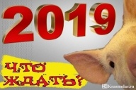 Изменения с января 2019