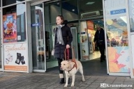 Автобусы не для инвалидов