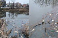 Все передохли