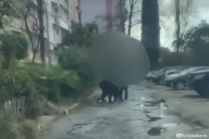 Беспощадная резня в магазине