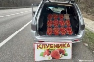 Подозрительная клубничка