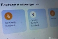 Под колпаком ФНС