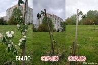 Фанатики атакуют