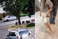 Дворняжки атакуют