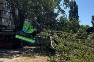 Деревопад в парке «Старая Кубань»