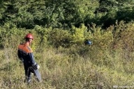 Электрика ударило током, он в шоке убежал в лес и пропал