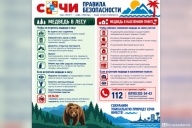 Медвежий край