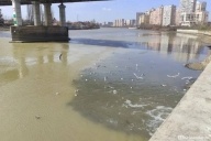 Разлилась ты вдаль и вширь