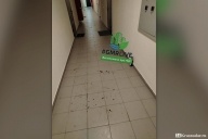 Мужчина бутылкой разбил лицо ребенку