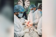 Вывалились кишки