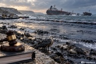 Штраф 34,2 за ущерб животному миру