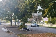 Медленно умирает